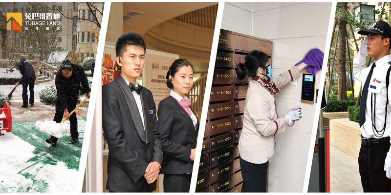 冬日里，兔巴哥的那些暖心行為